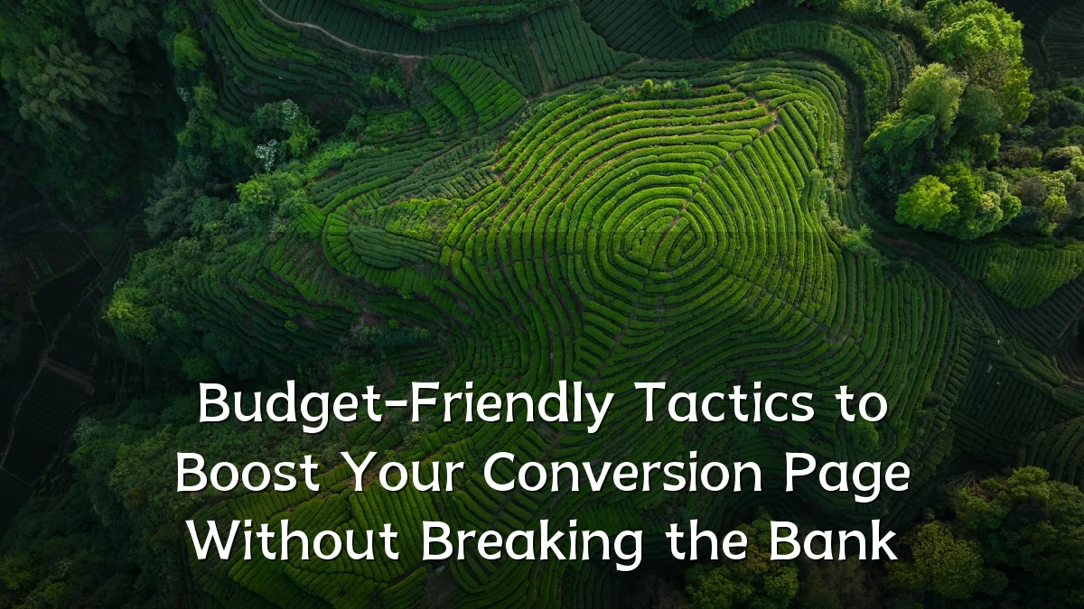 Budget-Friendly Tactics to Boost Your Conversion Page Without Breaking the Bank