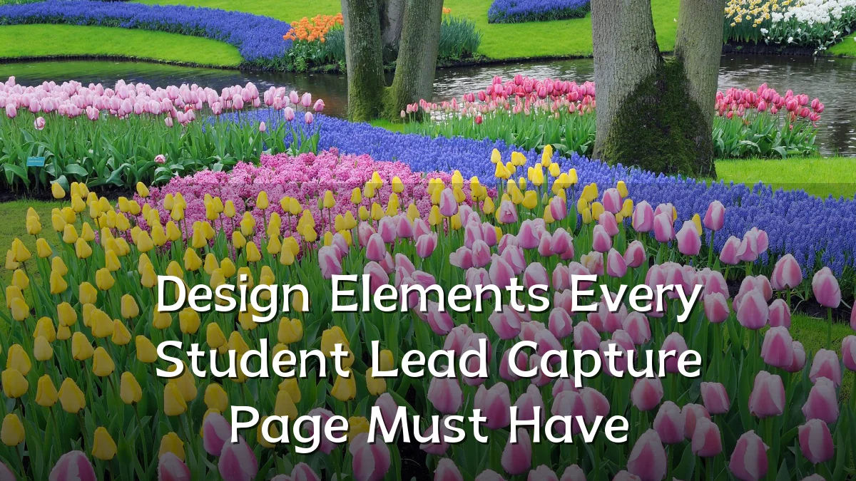Design Elements Every Student Lead Capture Page Must Have