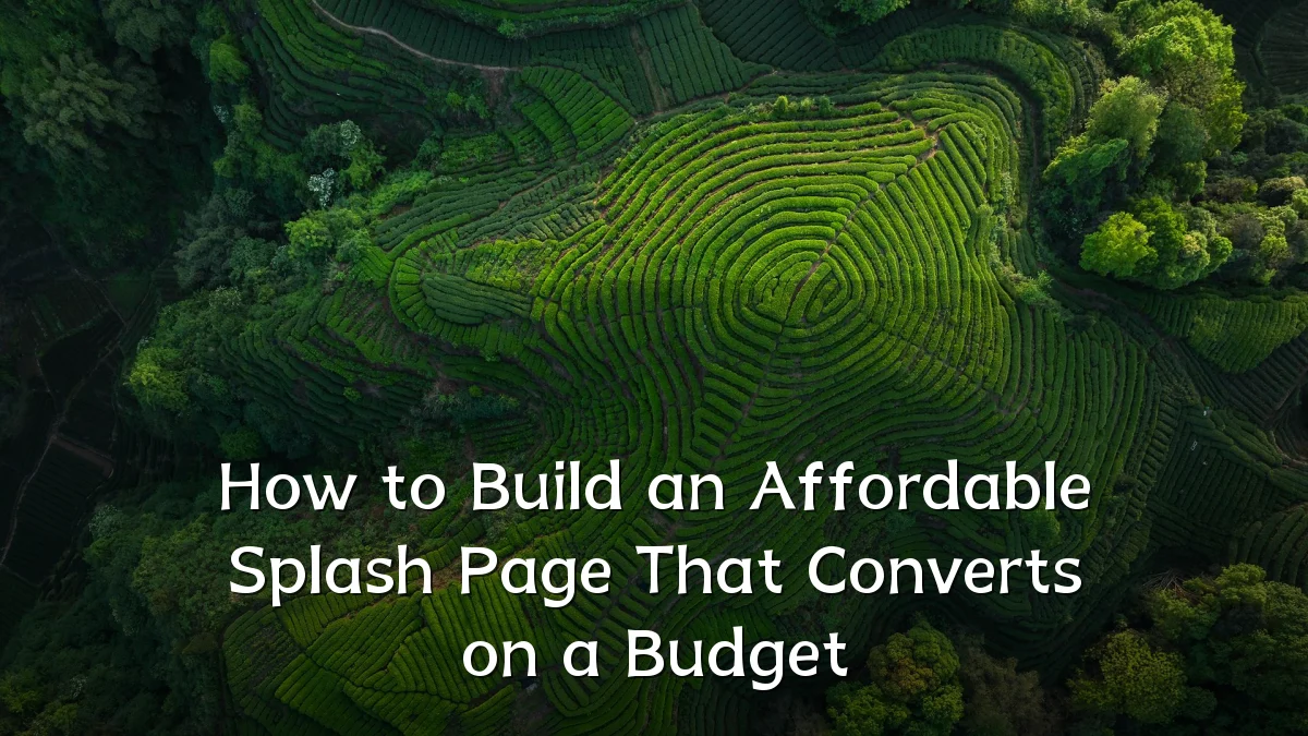 How to Build an Affordable Splash Page That Converts on a Budget