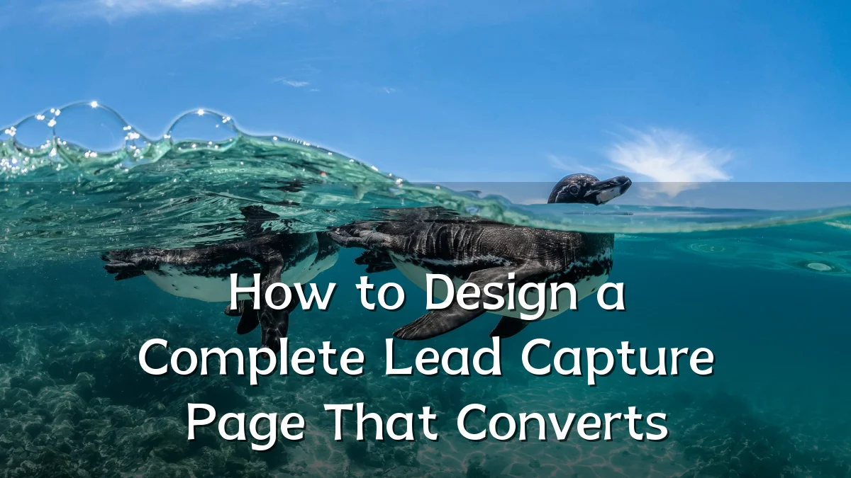 How to Design a Complete Lead Capture Page That Converts