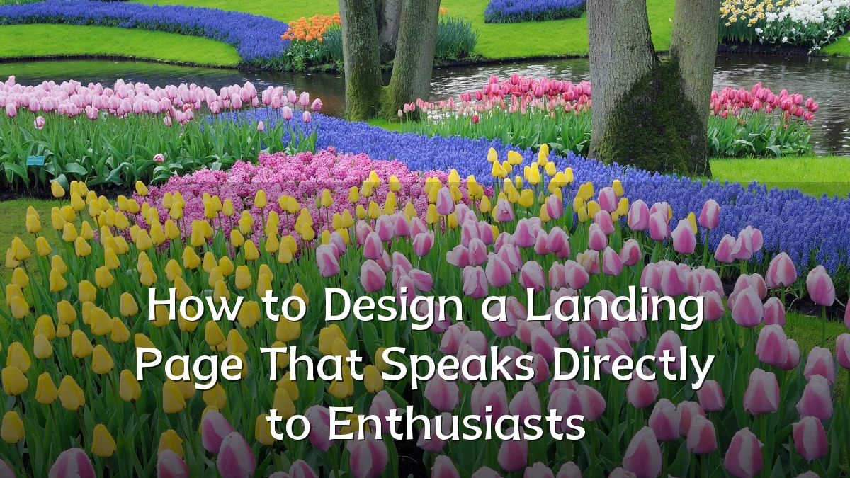 How to Design a Landing Page That Speaks Directly to Enthusiasts