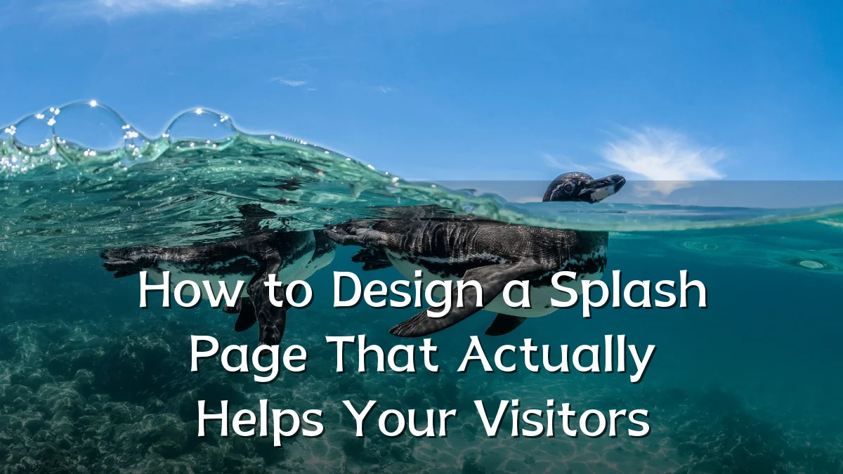 How to Design a Splash Page That Actually Helps Your Visitors