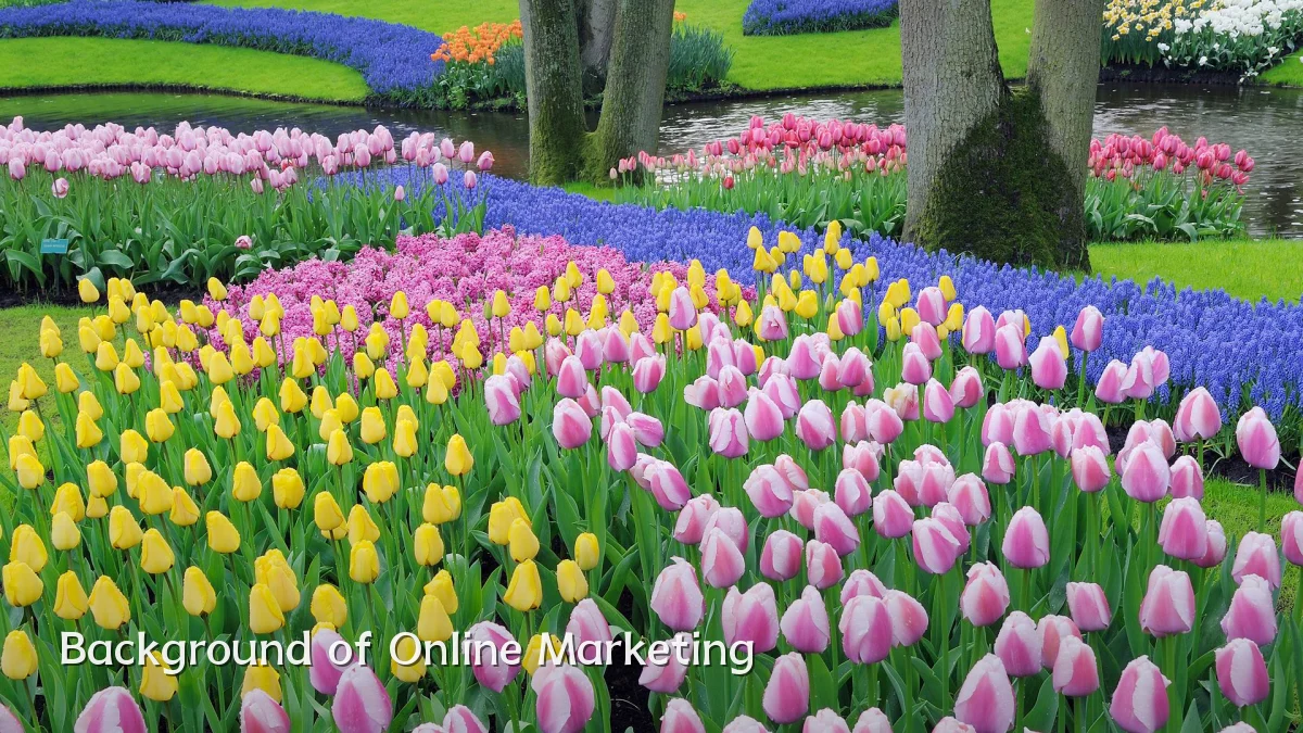 Background of Online Marketing