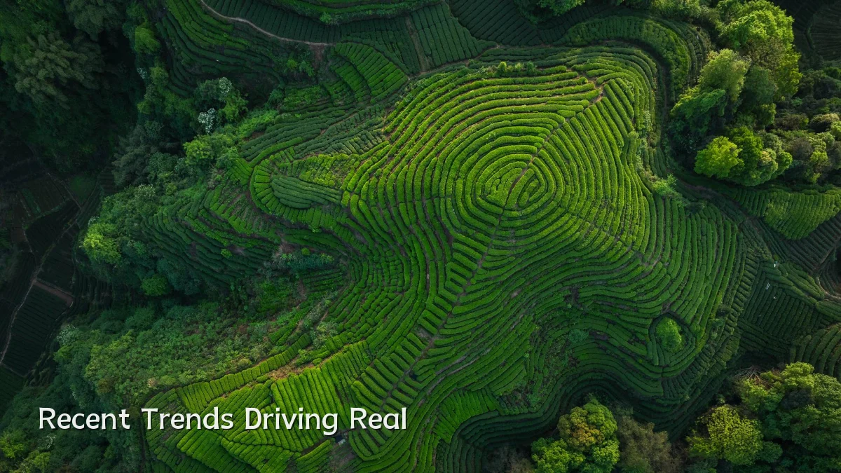 Recent Trends Driving Real