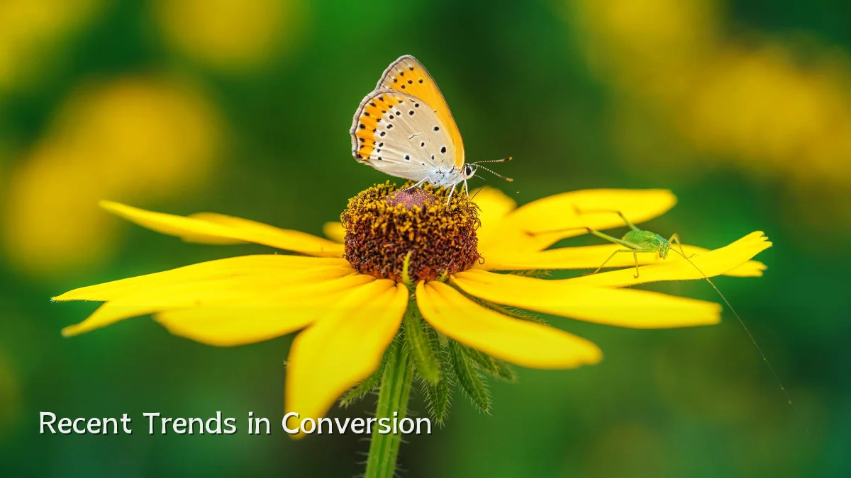 Recent Trends in Conversion
