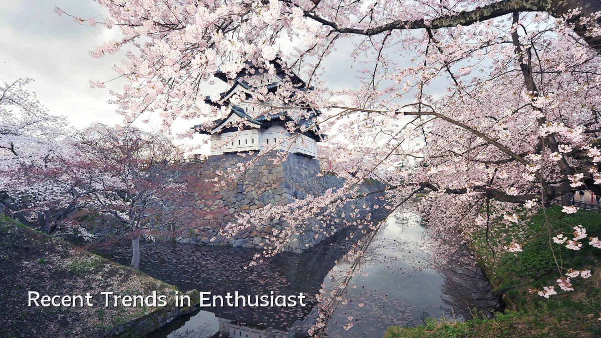 Recent Trends in Enthusiast