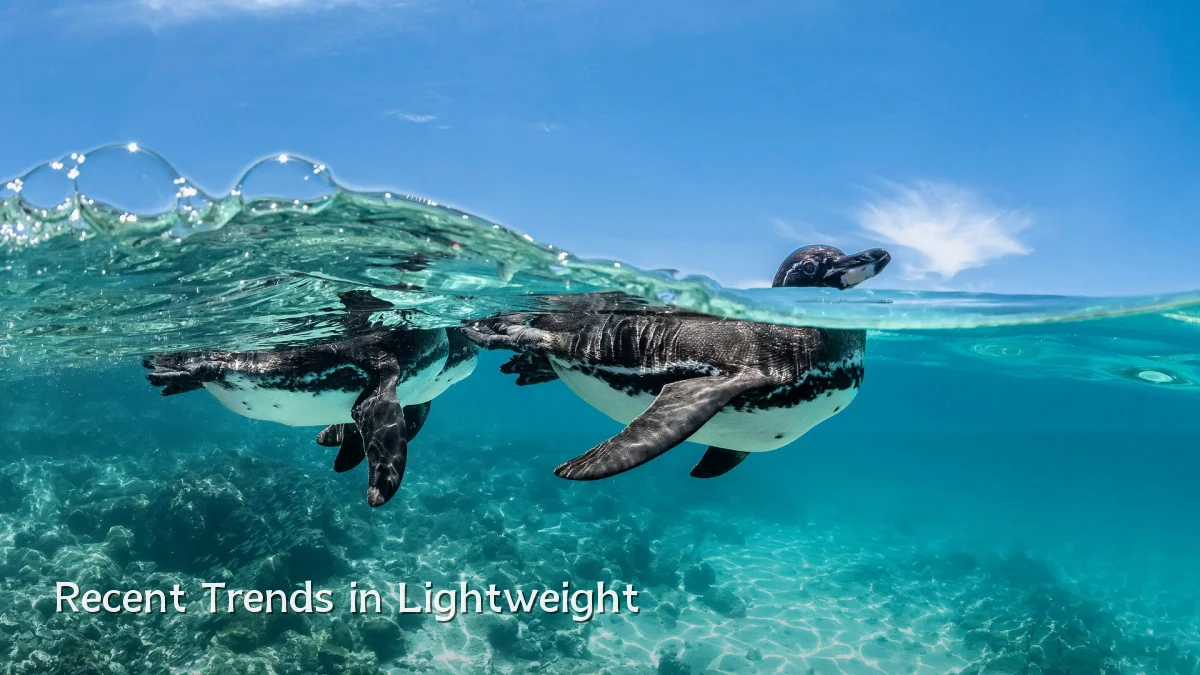 Recent Trends in Lightweight