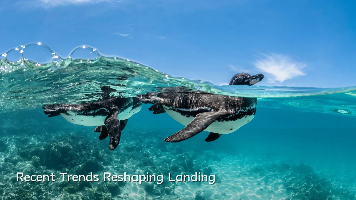 Recent Trends Reshaping Landing