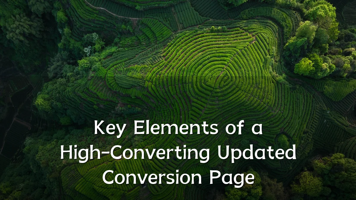 Key Elements of a High-Converting Updated Conversion Page