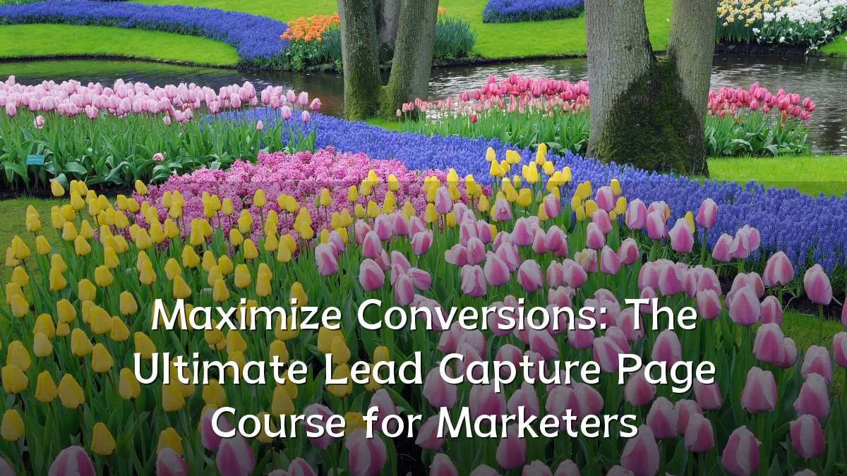 Maximize Conversions: The Ultimate Lead Capture Page Course for Marketers