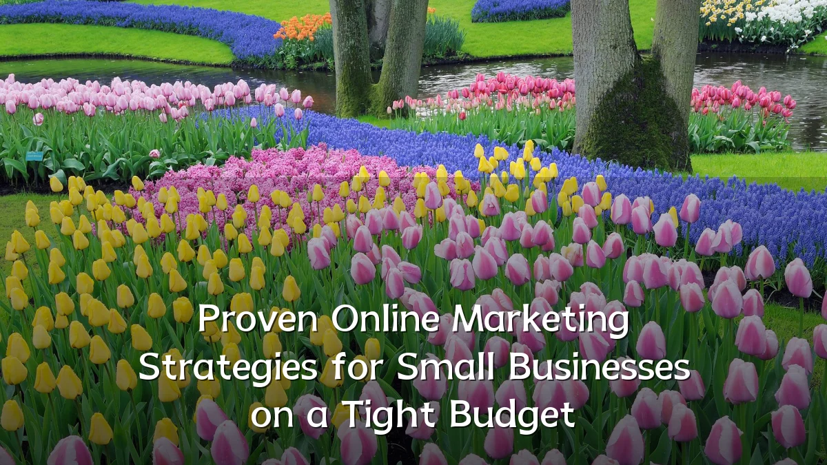 Proven Online Marketing Strategies for Small Businesses on a Tight Budget