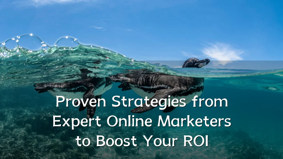 Proven Strategies from Expert Online Marketers to Boost Your ROI