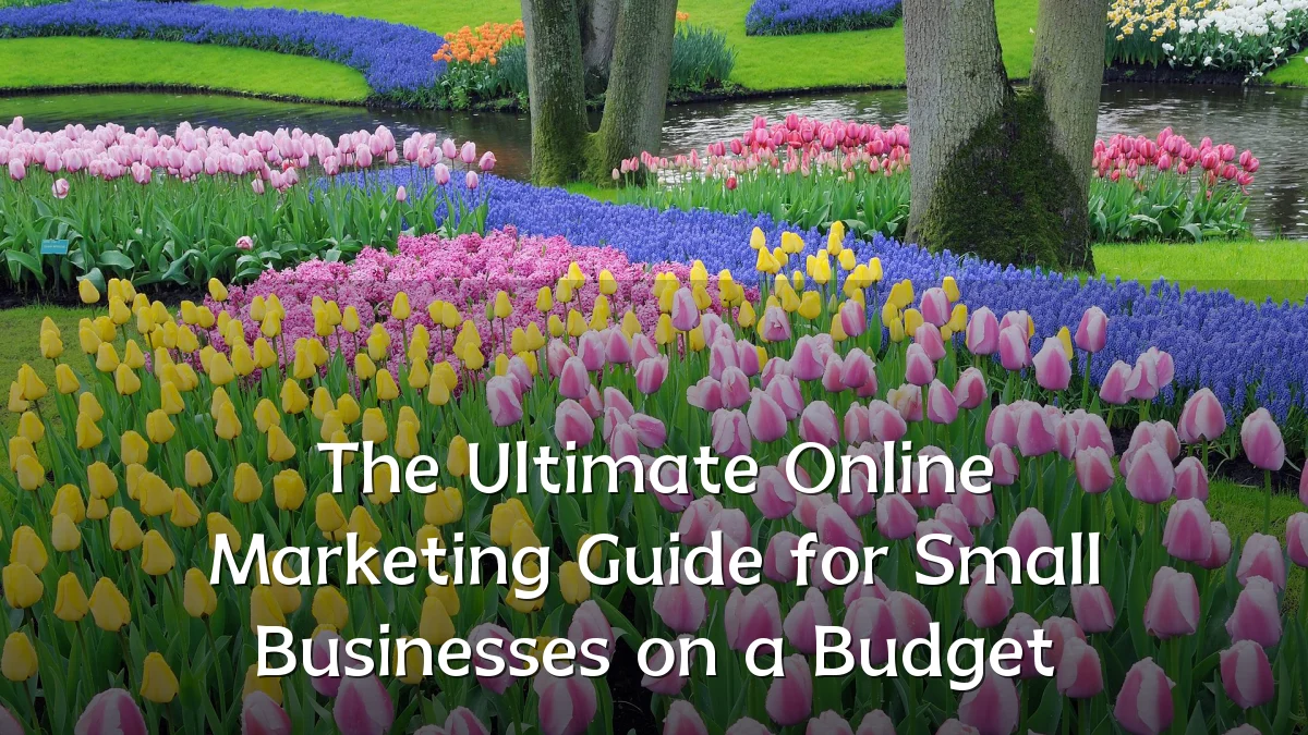 The Ultimate Online Marketing Guide for Small Businesses on a Budget