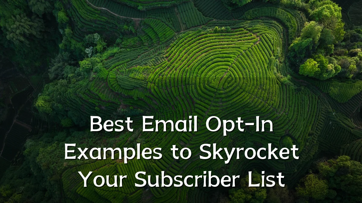 Best Email Opt-In Examples to Skyrocket Your Subscriber List