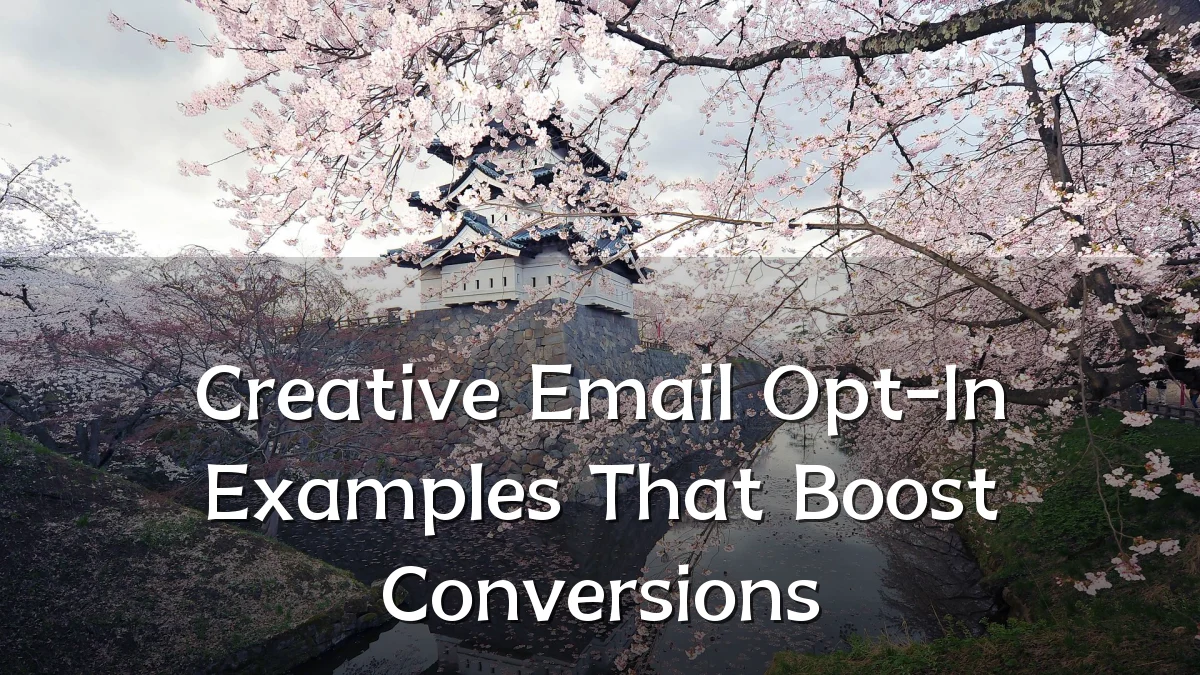 Creative Email Opt-In Examples That Boost Conversions