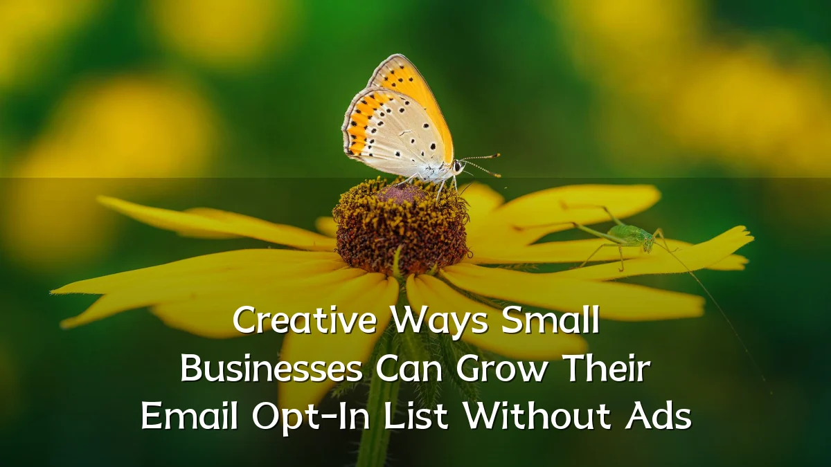 Creative Ways Small Businesses Can Grow Their Email Opt-In List Without Ads