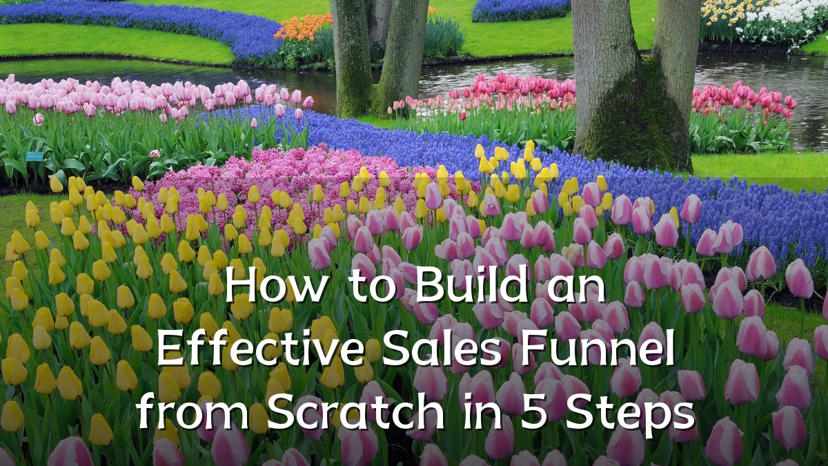 How to Build an Effective Sales Funnel from Scratch in 5 Steps