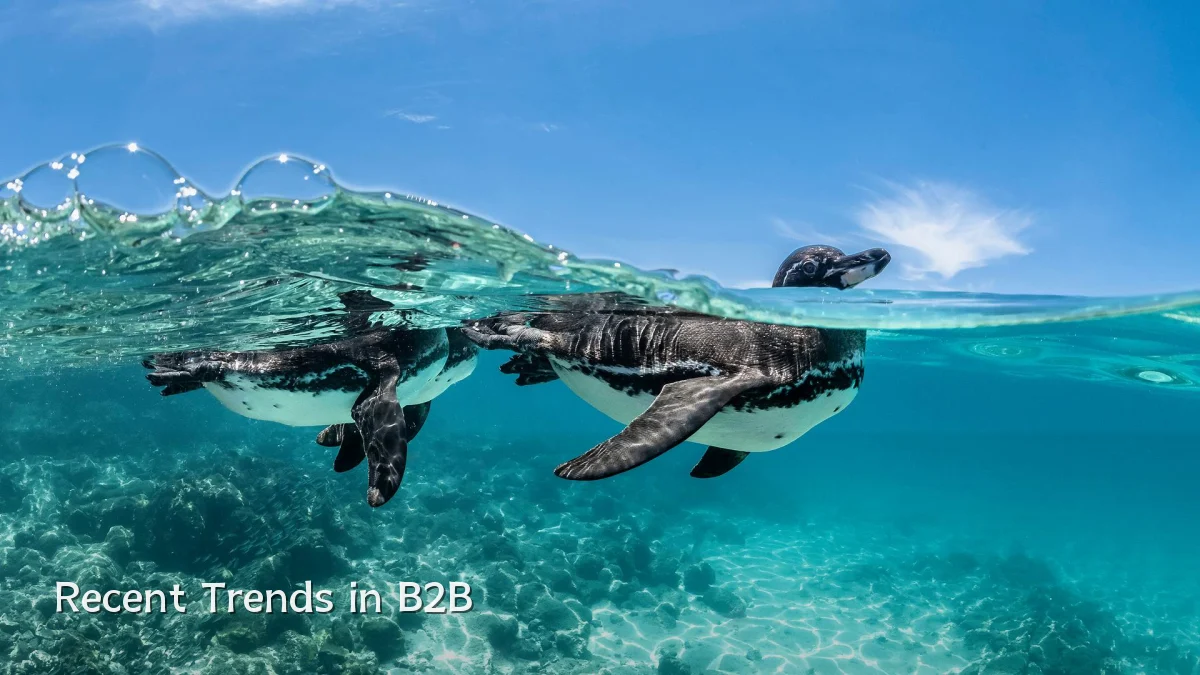 Recent Trends in B2B