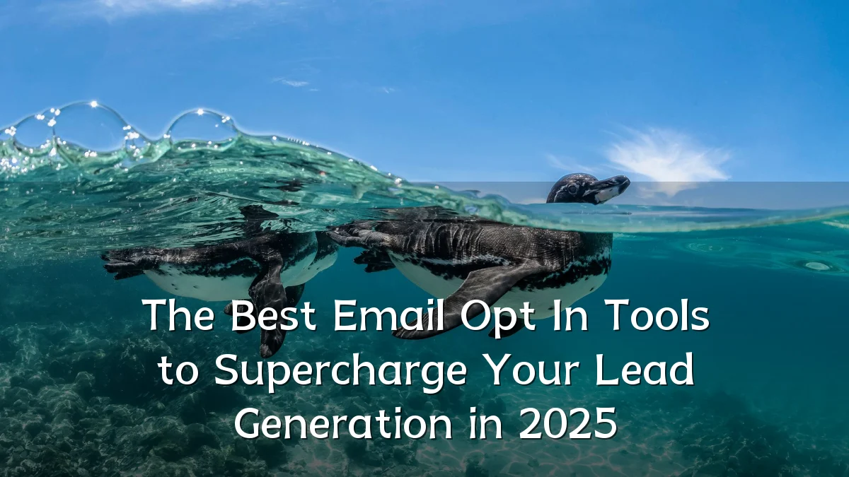 The Best Email Opt In Tools to Supercharge Your Lead Generation in 2025