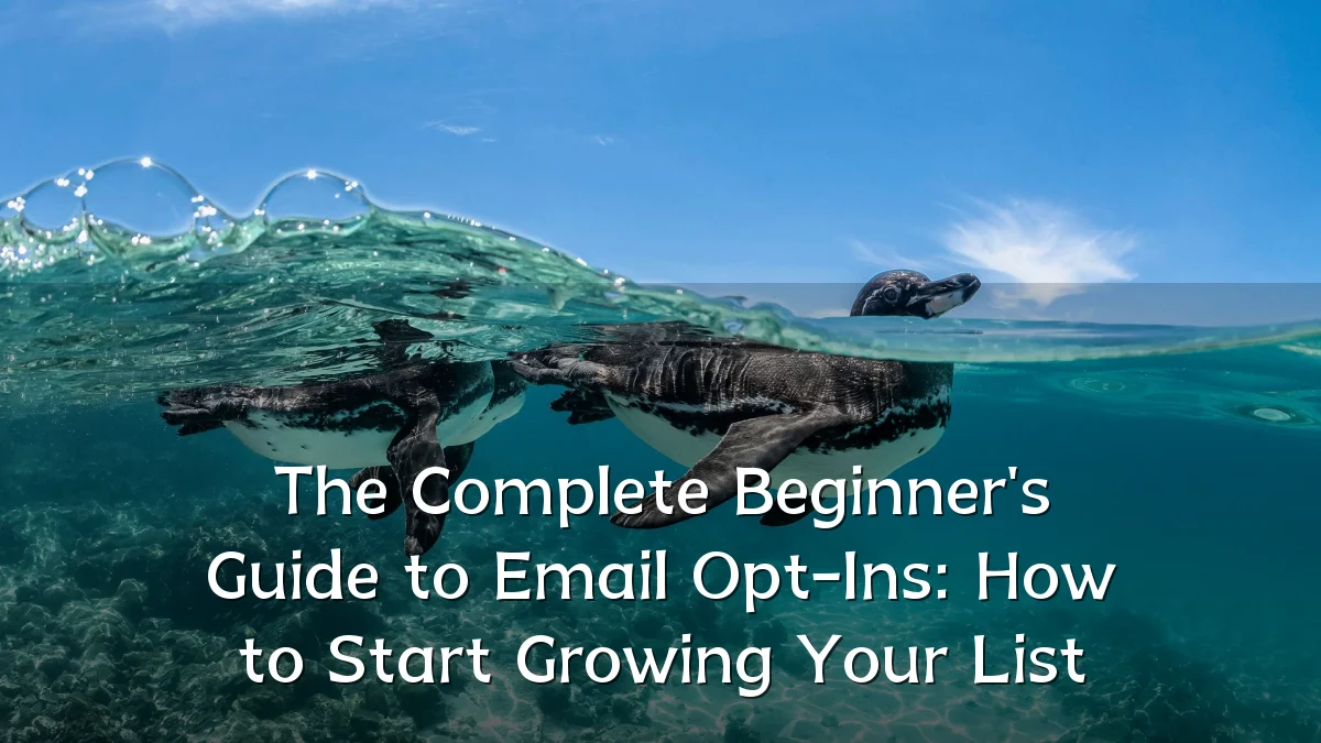 The Complete Beginner's Guide to Email Opt-Ins: How to Start Growing Your List