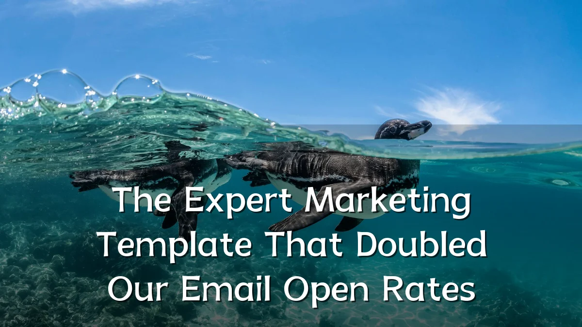 The Expert Marketing Template That Doubled Our Email Open Rates