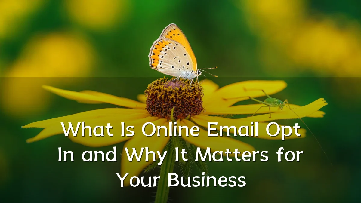 What Is Online Email Opt In and Why It Matters for Your Business
