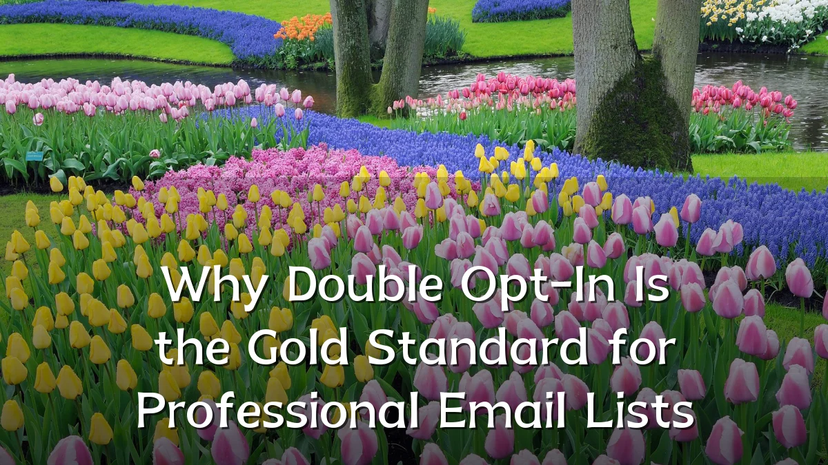 Why Double Opt-In Is the Gold Standard for Professional Email Lists