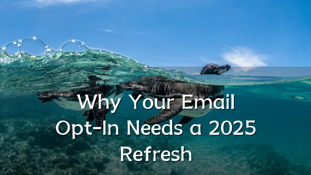 Why Your Email Opt-In Needs a 2025 Refresh